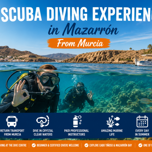 Scuba Diving Experience in Puerto de Mazarrón on the Costa Cálida